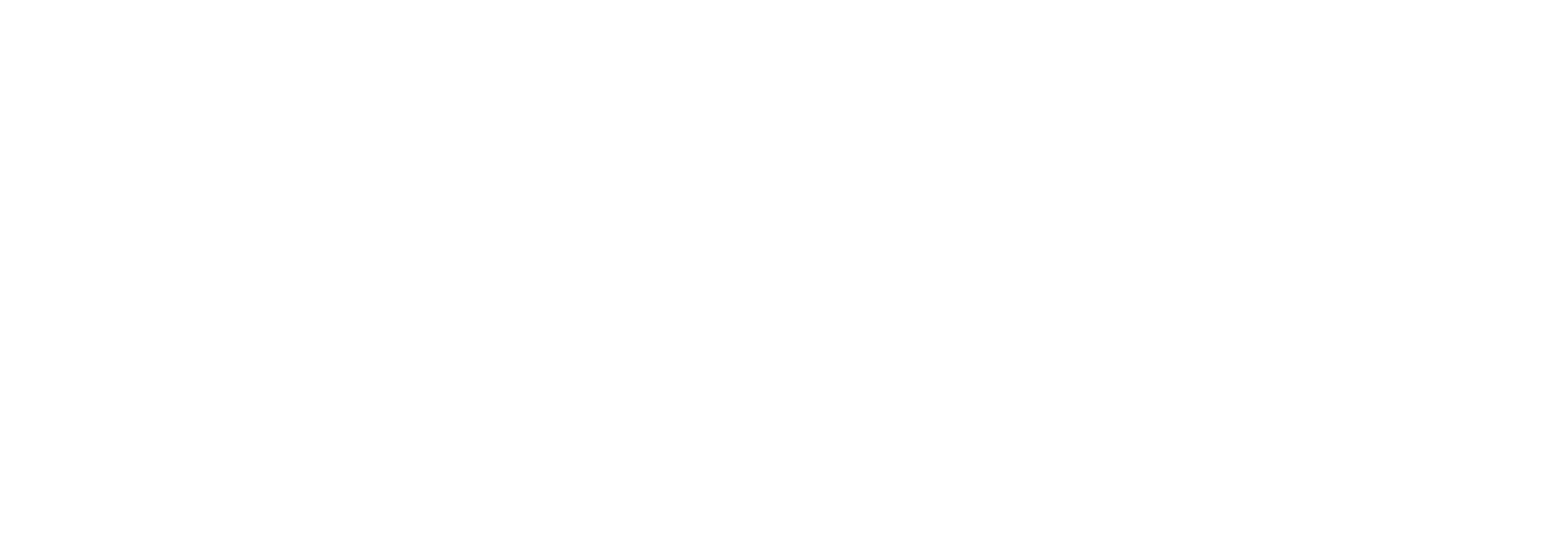 INS Servicios